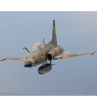 DCS: F-5E Tiger II Digital Download Key GLOBAL